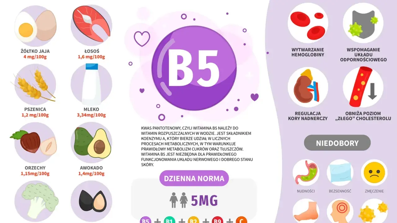 Kwas pantotenowy (B5) wspiera metabolizm, skórę i układ nerwowy. Znajdziesz go w jajach, łososiu, mleku, orzechach, awokado, brokułach. Dexpanthenol to jego forma.
